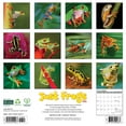 thumbnail image 2 of Just Frogs 2025 12 X 12 Wall Calendar, (Paperback), 2 of 5