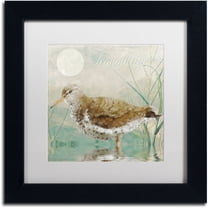 Trademark Fine Art "Sand Piper II" Canvas Art by Color Bakery White Matte, Black Frame