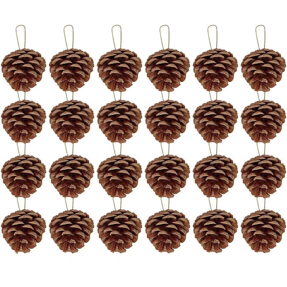 Christmas Pinecone Ornaments,24 Pcs Natural Pine Cones,Christmas Rustic Pinecones for Home Accent Decor,Tree Decoration