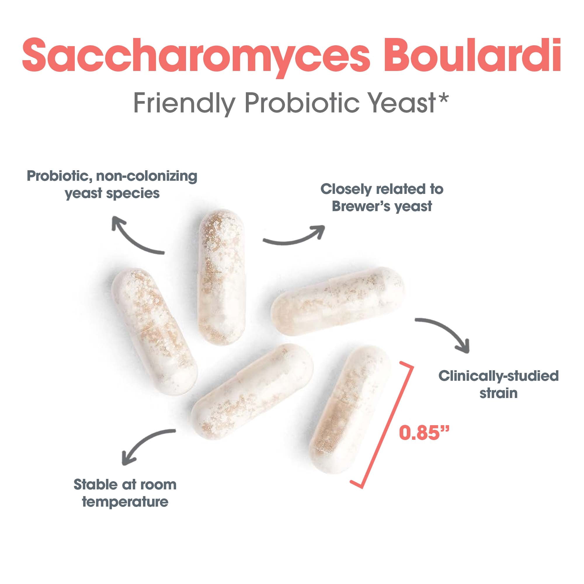Allergy Research Group Essential-Biotic Saccharomyces Boulardii 450mg Probiotic Supplement - S. Boulardii Probiotic Yeast, Friendly Bacteria Establishment, GI Tract Support - 60 Count