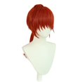 thumbnail image 1 of Peluca para cosplay Rurounis Kenshin Meijis Kenkakus Romanticas, 1 of 3