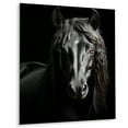 thumbnail image 2 of Designart "Vibrant Portrait Black White Horse" Animals Horse Metal Art Print, 2 of 5