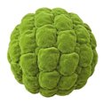 thumbnail image 1 of GOOHOCHY 1 pieza de piedra musgosa de simulación para manualidades, arte y decoración de micro paisajes (verde), 1 of 7