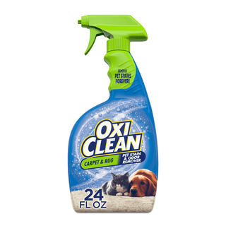 Woolite Pet Stain & Odor Remover, Free & Clear - 22 fl oz