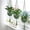 Green_New#216, variant on Hanging Fruit Basket Cotton Mesh Vegetable Storage for Kitchen Organization