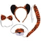 thumbnail image 5 of 1 Juego de adorables suministros para disfraz de tigre, encantador disfraz de tigre para niños, accesorios decorativos para Cosplay de tigre, 5 of 7