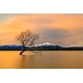 thumbnail image 2 of Zhu, Hua 18x13 White Modern Wood Framed Museum Art Print Titled - Morning Glow Of The Lake Wanaka, 2 of 4