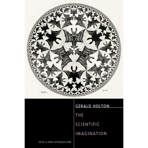 The Scientific Imagination (Paperback)