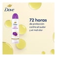thumbnail image 4 of Antitranspirante Dove tono uniforme orquídea aerosol 150 ml, 4 of 6