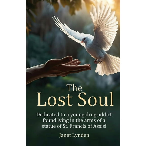 The Lost Soul: Dedicated to a young drug addict found lying in the arms of a statue of St. Francis of Assisi, (Paperback)
