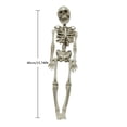 thumbnail image 2 of 40 CM/15.7 Inches Full Life Size Human Skeleton Halloween Decoration Horror Party Prop, 2 of 9