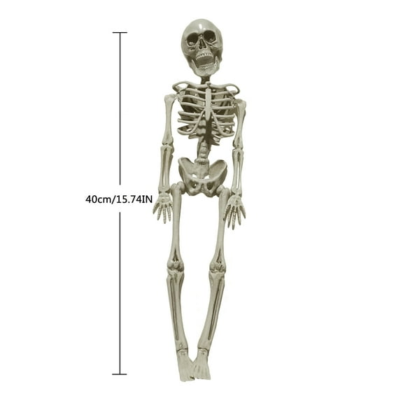 Halloween Human Skeleton Bone Model 15.7 Inches Movable Joints for Haunted Houses Graveyard Holiday Decoration