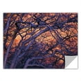 thumbnail image 2 of Dean Uhlinger "Black Oak Sunset" Removable Wall Art, 2 of 2