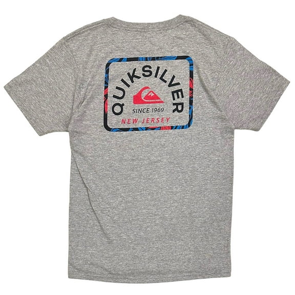 Quiksilver Men's Floral Fills New Jersey Graphic Tee T-Shirt (Small, Heather Grey)