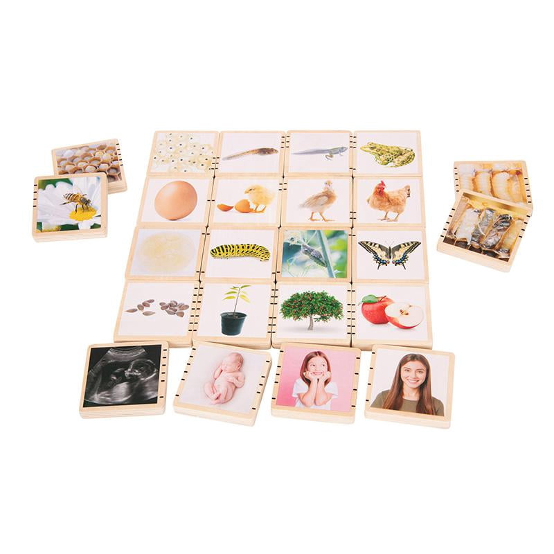 TickiT Wooden Lifecycle Tiles