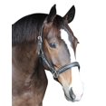 thumbnail image 2 of Henri de Rivel Licou Rembourré Cristal - Noir - Cob, 2 of 3