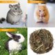 thumbnail image 2 of Golosinas para chinchillas, juguete para mascotas, juego de limpieza de bolas de hierba para conejos, juguetes para masticar para conejillos de indias, 2 piezas, 2 of 6