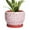 Brack Red, variant on Flower Pots 6 inch, Modern Small Round Ceramic Planter with Drainage Hole and Saucer, Gift for Women & Mom, for Orchids & Indoor Plants, Blue Glaze