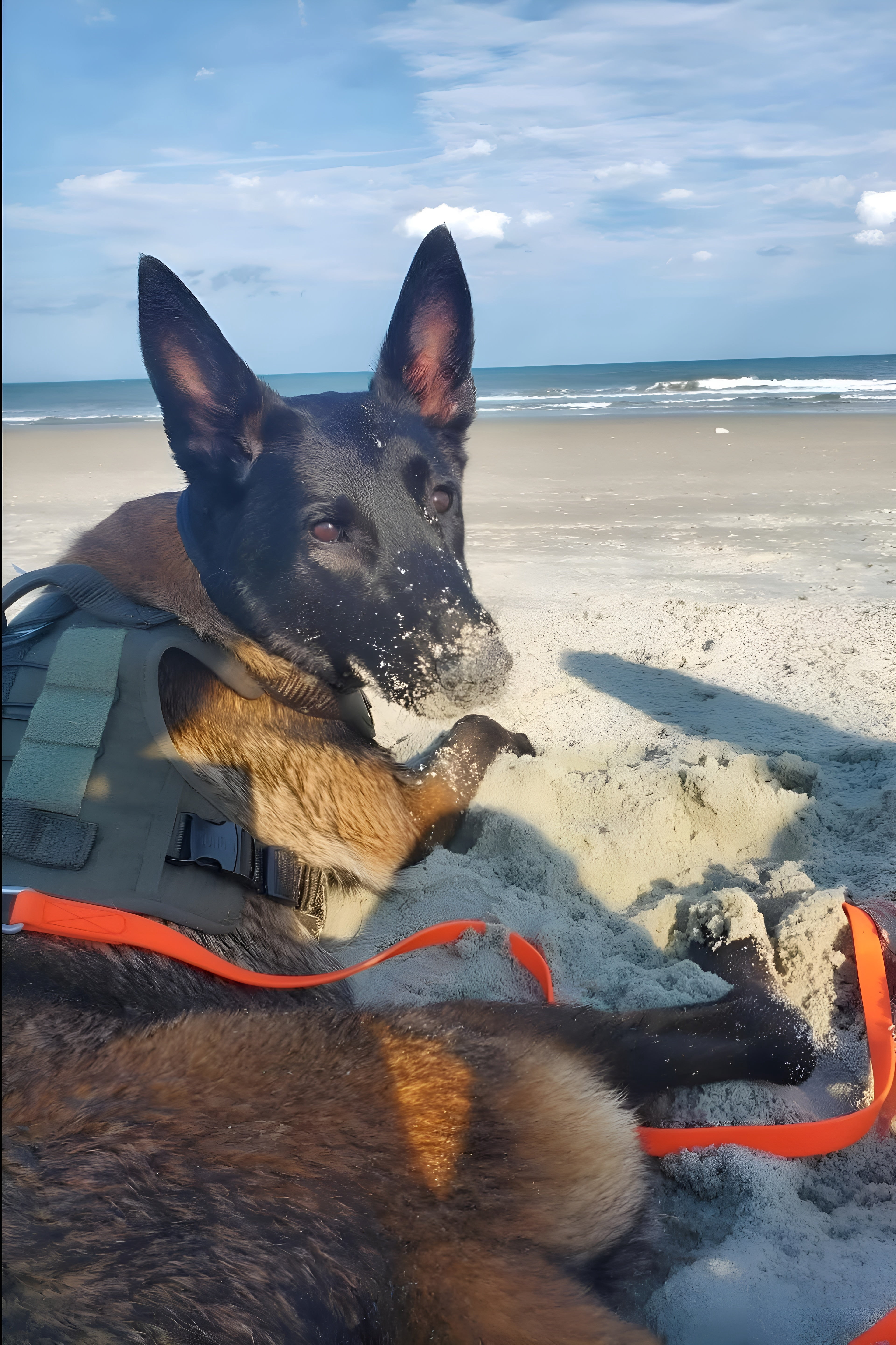 Dogline Biothane Waterproof Leash 6 ft