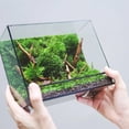 thumbnail image 5 of Plant Terrarium Succulent Plant Planter DIY Landscape Terrarium Table Plants Terrarium Display Container, 5 of 6