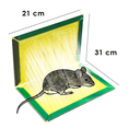 thumbnail image 2 of Trampa Pegajosa Adhesiva MAGENTA atrapa ratas ratones 6pz, 2 of 6