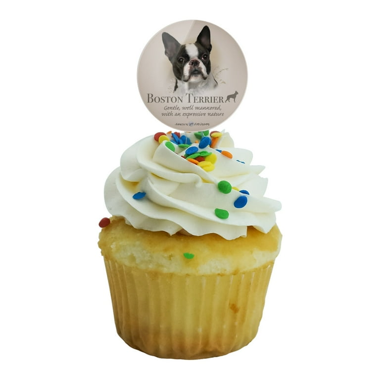 Boston terrier cupcakes 2025