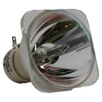 Advanced Lamps™ Series Lamp (Bulb Only) for The InFocus IN2114 Projector - 90 Day Warranty - 1 Unit per pack
