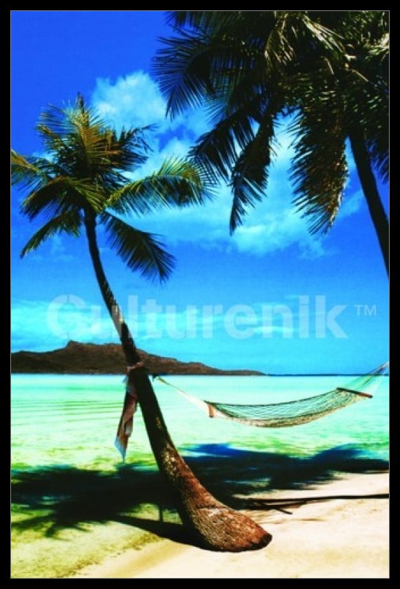 Tropical Beach Poster Poster Print - Walmart.com - Walmart.com