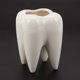 thumbnail image 3 of Maceta de cerámica blanca con forma de diente, diseño moderno (sin plantas), 3 of 8