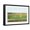 Black Frame, variant on Art.com Golfing by the Sea, Nantucket, Massachusetts Art Print, 36" x 24"