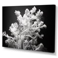 thumbnail image 2 of Designart "Monochrome Coral Plant Beauty I" Coastal Coral Under Water Canvas Wall Art, 2 of 7