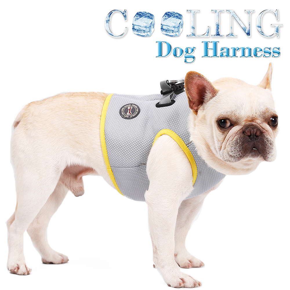 dog cooling vest