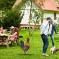 thumbnail image 4 of Garden Wooden Rooster Decoration Courtyard Rooster Decoration&Courtyard Decoration Card Slot Happy Day!, 4 of 6