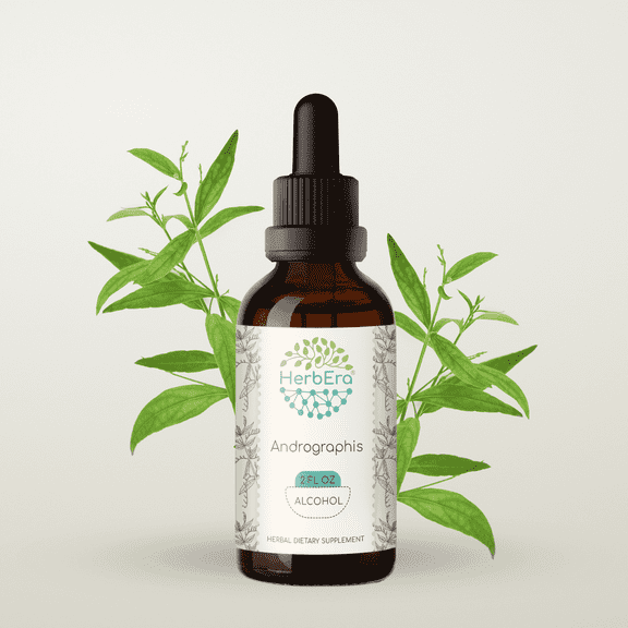 HerbEra Andrographis Tincture, Herbal Dietary Supplement for Immune and Seasonal Wellness Support, Andrographis (Andrographis paniculata) Dried Herb Extract, Natural, Alcohol Tincture, Drops 2 oz