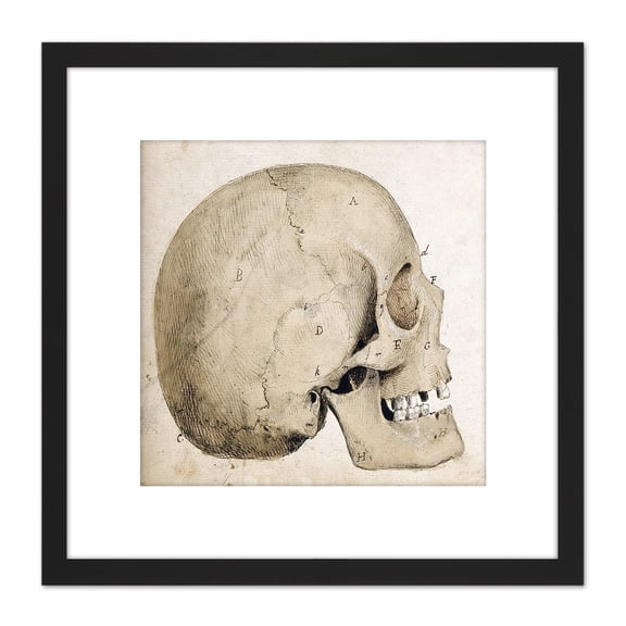 Landseer Human Skull Side View Anatomy Diagram 8X8 Inch Square Wooden Framed Wall Art Print Picture with Mount