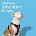 thumbnail image 4 of Vibrant Life Reflective Mesh Adjustable Dog Harness, Black, Large, 4 of 14