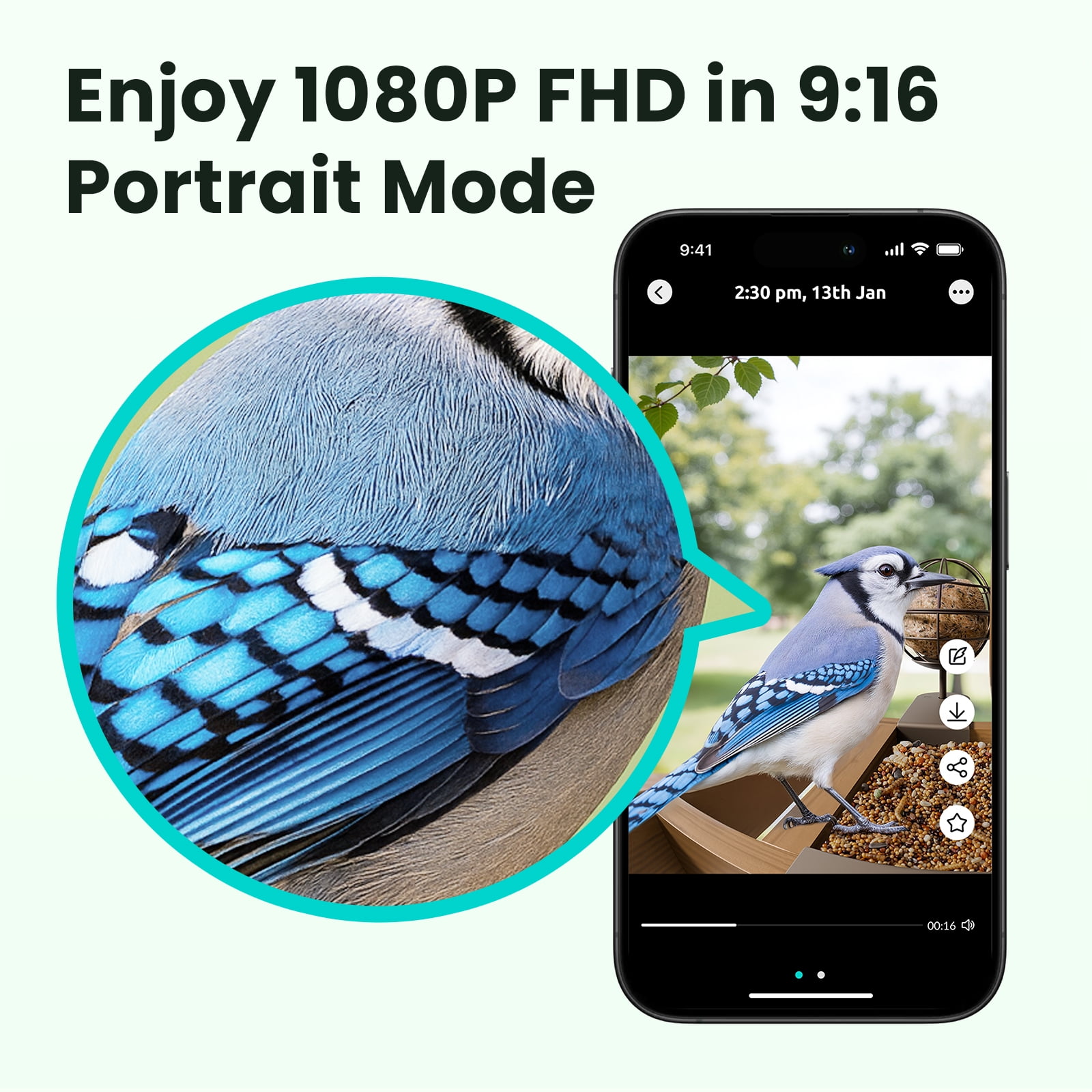 Birdfy Smart Bird Feeder with Camera, 1080P HD Bird Feeder Camera with AI Bird Identification, Solar Powered, Motion Detection & Real-Time Alerts, Suet Ball Holder for Outdoor Birdwatching
