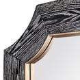 thumbnail image 2 of Varaluz Farra 28x54 Wall Mirror - Cerused Black/Weathered Brass, 2 of 5