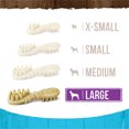 thumbnail image 5 of Merrick, Fresh Kisses Brush - Mint - Dog Treat, 5 of 5