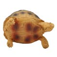 thumbnail image 3 of Adorno de tortuga Jadeshay 7,5 x 10,5 x 7,5 cm Resina, 3 of 8