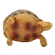 thumbnail image 3 of Adorno de tortuga, figura de animal de mascota, resina, decoración del hogar para peces, acuario, 3 of 14