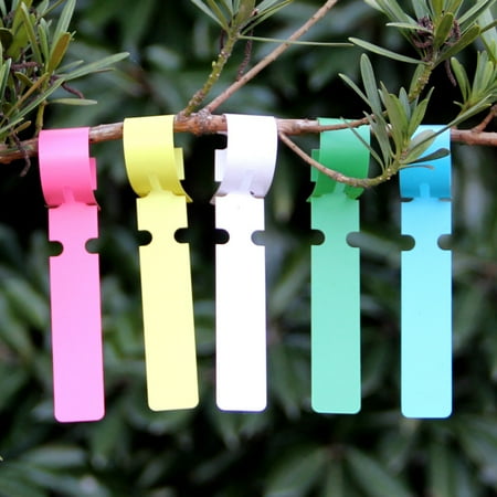 Lot De 300 étiquettes En Plastique De 10,2 Cm Pour Plantes, Pépinières, Jardin, 6 Couleurs, étiquettes Pour Piquets De Jardin (multicolore (300 Pièces