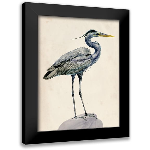 Wang, Melissa 12x14 Black Modern Framed Museum Art Print Titled - Blue Heron Rendering I