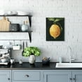thumbnail image 2 of Stupell Industries Abstract Yellow Lemon on Vine Pop over Black Canvas Wall Art by Emma Caroline, 2 of 6
