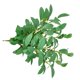 thumbnail image 3 of Planta Artificial Hoja Rama Simulación Vegetación Hogar Oficina Tela Planta falsa, Verde 10 Piezas kenally HA8513-01B, 3 of 6