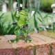 thumbnail image 1 of Estatuilla de Rana Cola decoración para porche patio césped accesorios de jardín 115 x 17 cm Rana de resina, 1 of 8