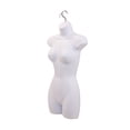 thumbnail image 7 of SSWBasics Female Mannequin Torso - Fits Women’s Sizes 5-10 - Molded  Shatterproof & White, 7 of 7