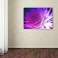 thumbnail image 4 of Trademark Fine Art 'Mod Dahlia' Canvas Art by Kathy Yates, 4 of 4