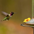 thumbnail image 6 of 16 Pieces Hummingbird Feeders Replacement Flowers Yellow Pet Replacement Bird Feeder Replacement Parts with 2 PCS Brush Feeding Ports Bee Guards for Hummingbird Feeders for Outdoors Hanging Feeder, 6 of 7