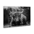 thumbnail image 3 of Stupell Industries Rustic Lodge Cattle Laying in Grass Canvas Art, 30 x 20, by Dakota Diener, 3 of 8